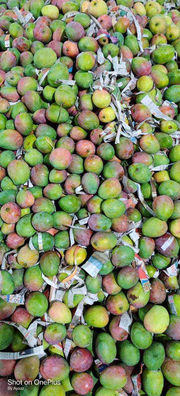 Jay Maa Laxmi Traders, Borivali West Dry Fruit Wholesalers in Mumbai