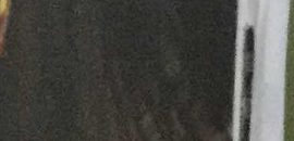 Shweta Tiwari Creative School Of Acting in Andheri West, Mumbai