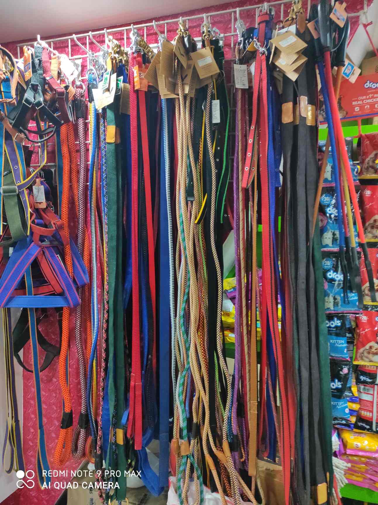 Top Pet Clinics in Mulund East, Mumbai Best Veterinary Clinic near me