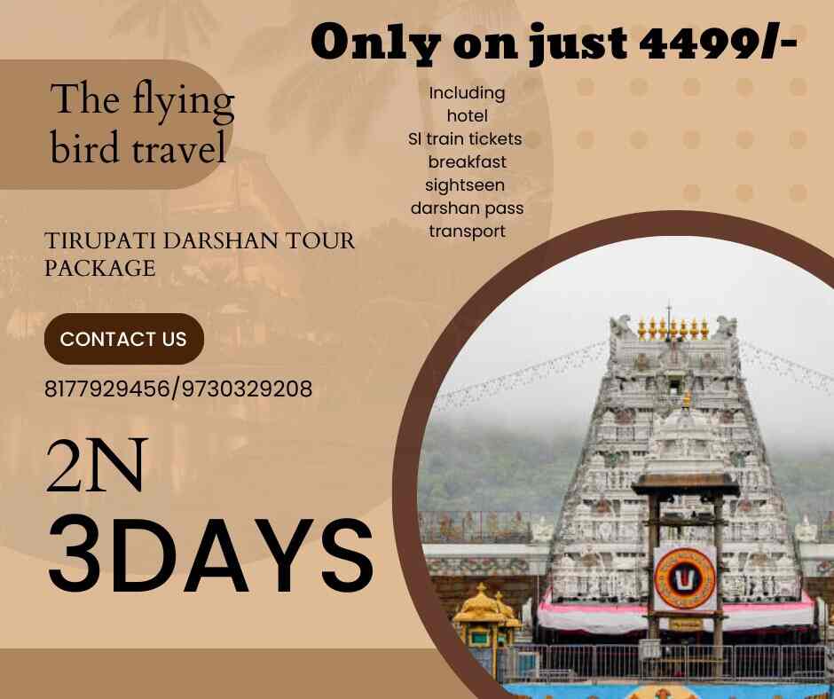 Top Domestic Travel Agents in Andheri East Best Domestic Travel