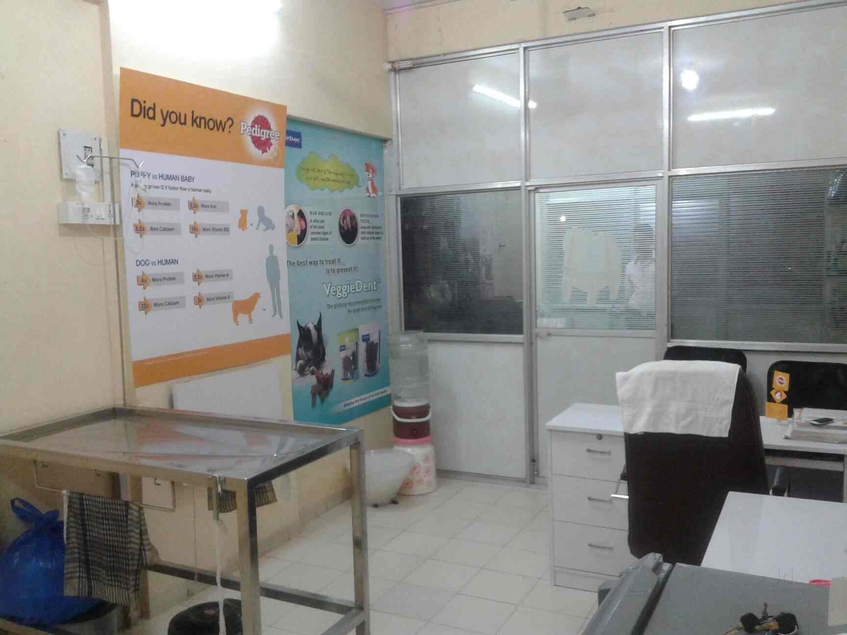 Animal Care Clinic Pet Clinics Book Appointment Online Pet animal-care-clinic-pet-clinics-book-appointment-online-pet