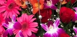 Sainath Flower in Kalbadevi, Mumbai