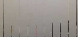 Star Realty in Bandra East, Mumbai