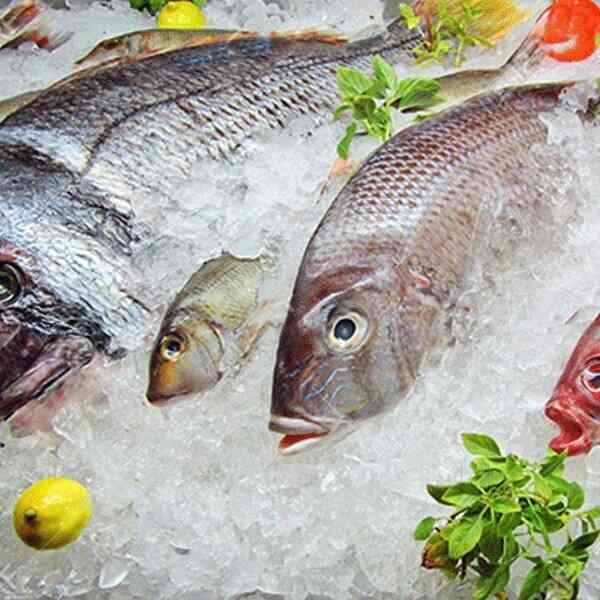 Lalchand Enterprises, Vashi Pet Shops in Mumbai Justdial