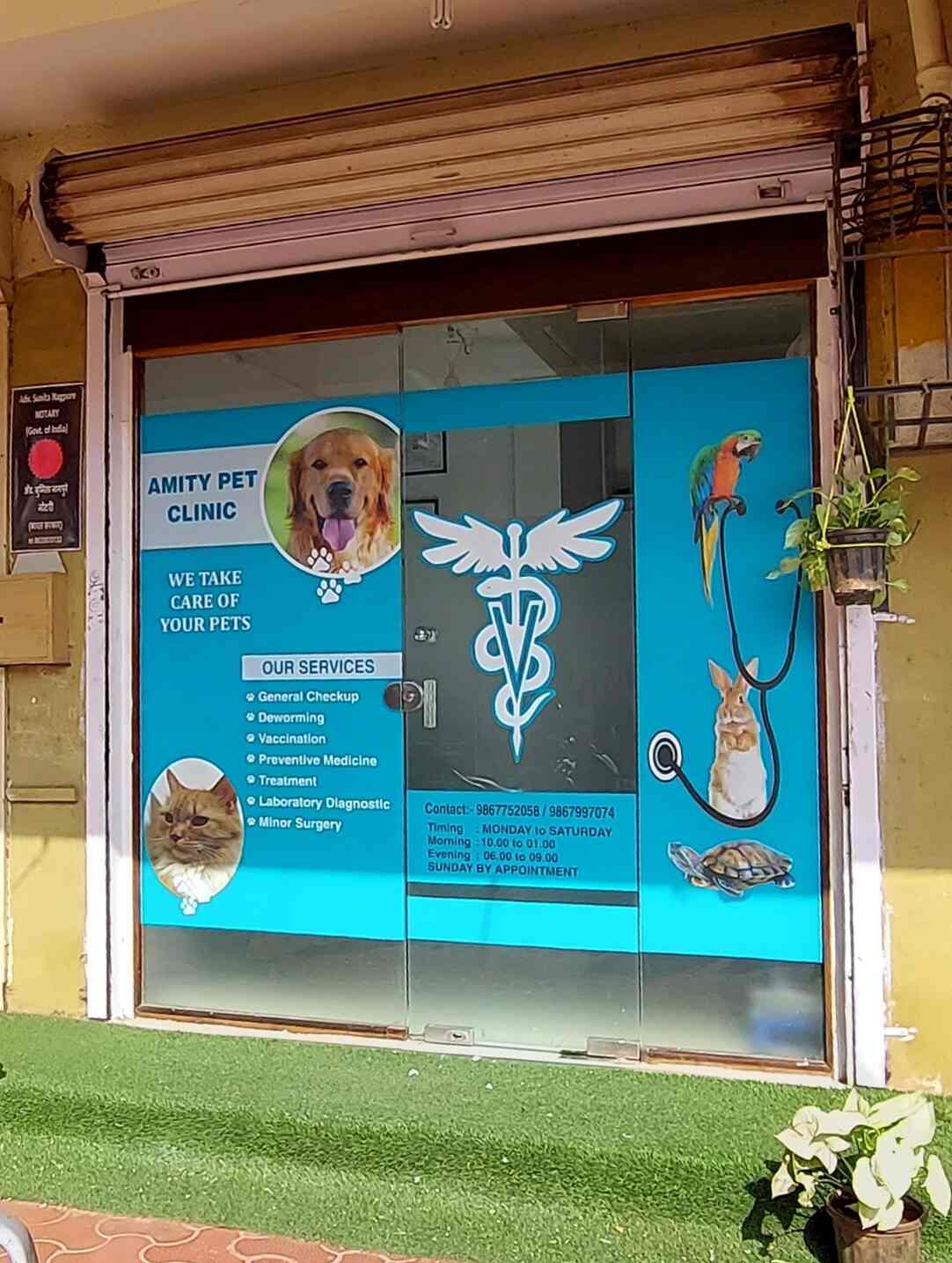 Amity Pet Clinic in Kurla East Mumbai Best Pet Clinics in Mumbai