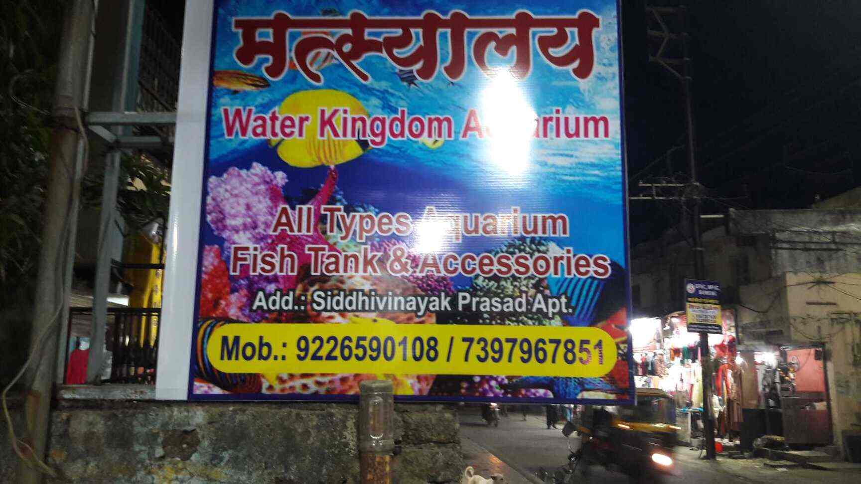 Water Kingdom Aqurium in Badlapur West,Mumbai Best Aquarium Accessory