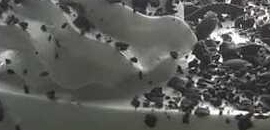 Adarsh Bakers in Borivali West, mumbai