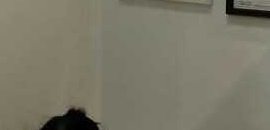 Sion Speciality Ent Clinic in Sion, Mumbai