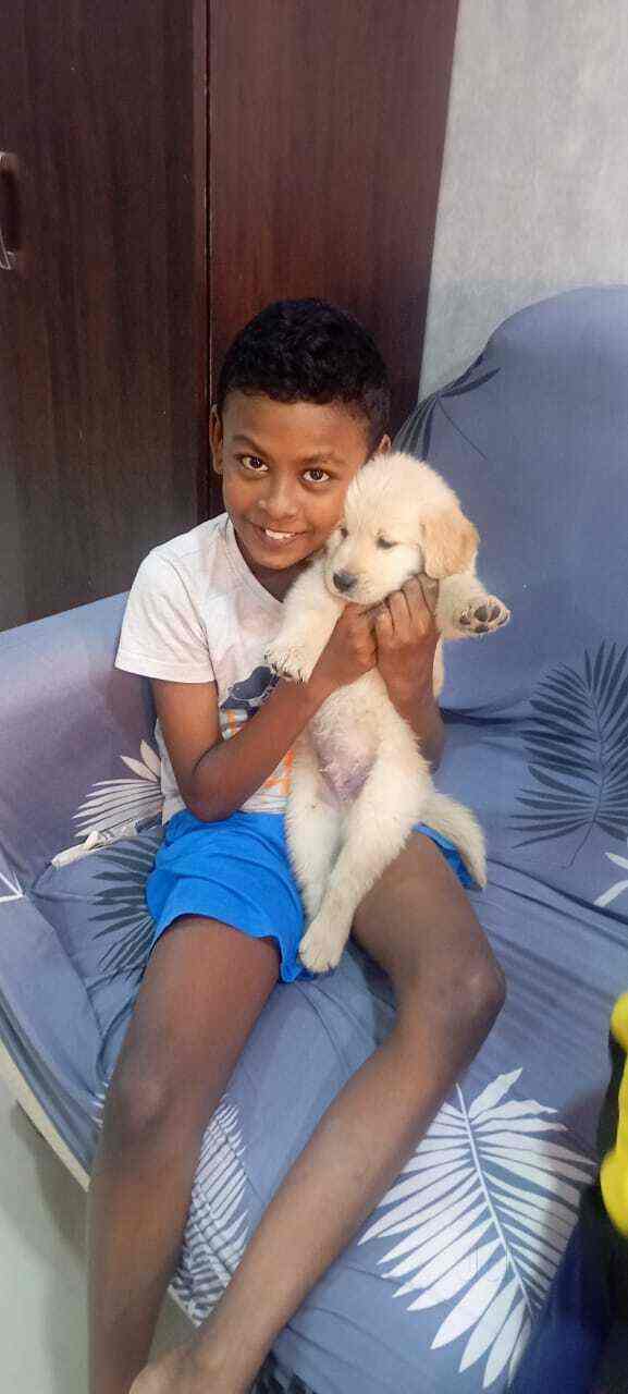 Heaven Pet Lodging in Gokul Townshipvirar West,Mumbai Best Pet