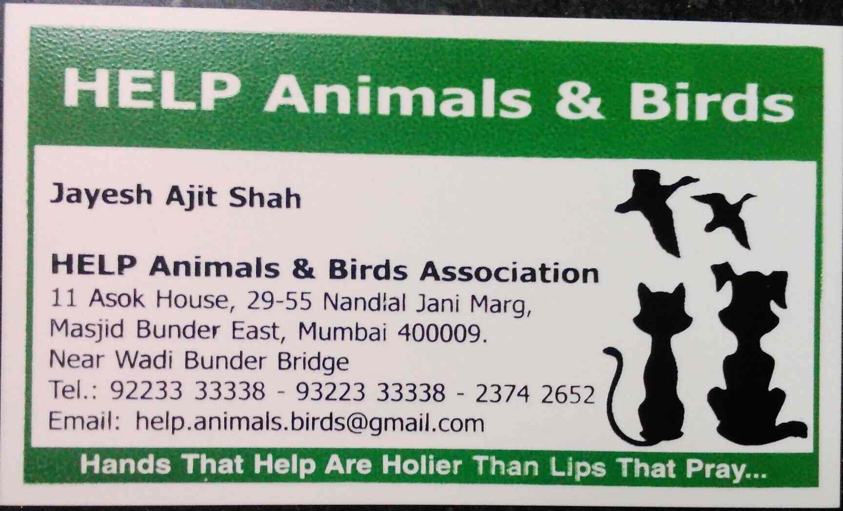Top Public Veterinary Hospitals in Nashik Best Government Animal