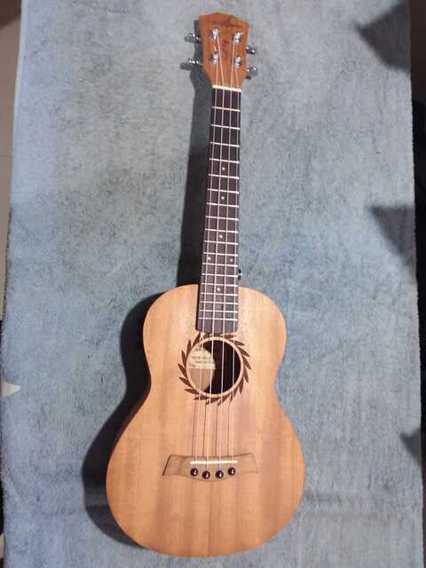 PAUL Guitar Service Center in Malad West Mumbai Best Guitar