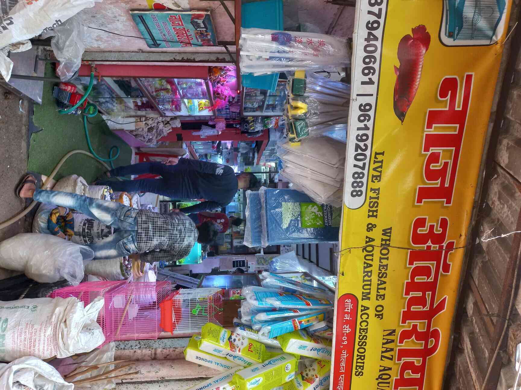 Naaz Aquarium in Nehru Nagar Kurla East Mumbai Best Aquarium
