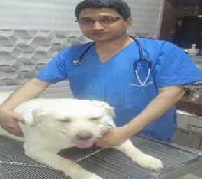animal hospital in mira road