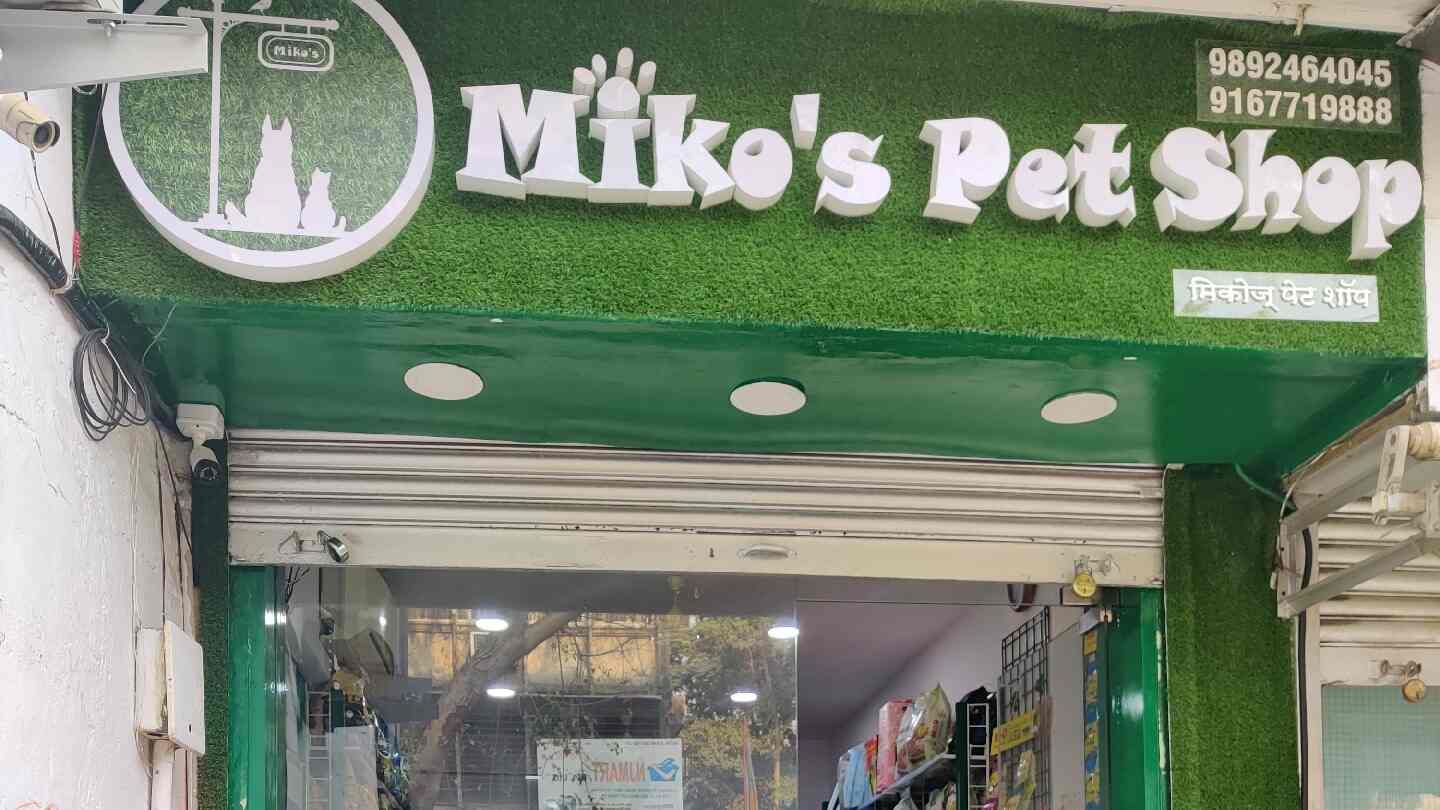Top Pet Cafes in Raj Bhavan, Mumbai near me Justdial