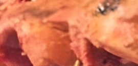 Tandoor Corner in Thane West, Mumbai