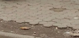 Mayank Auto in Kandivali West, Mumbai