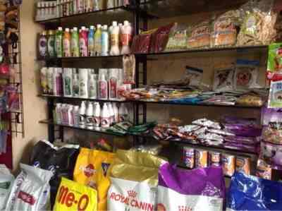 pet essentials powai