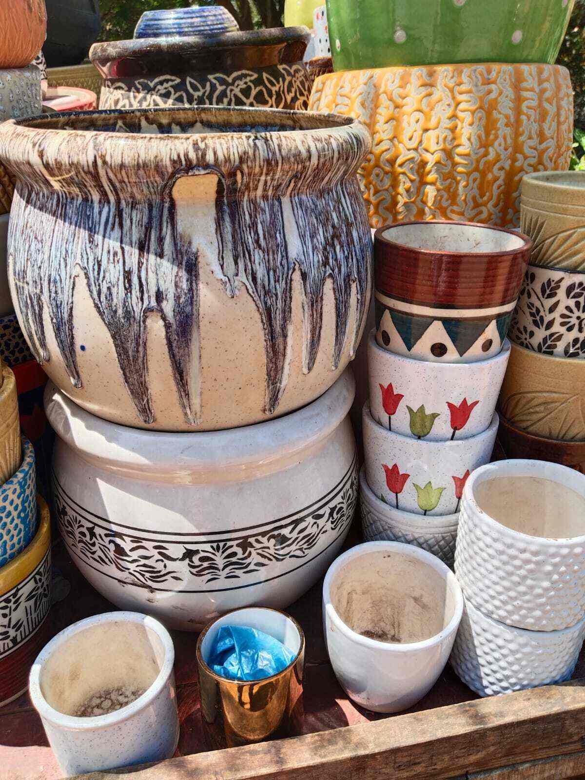 T.S Rose Nursery in Andheri West,Mumbai Best Plant Nurseries in