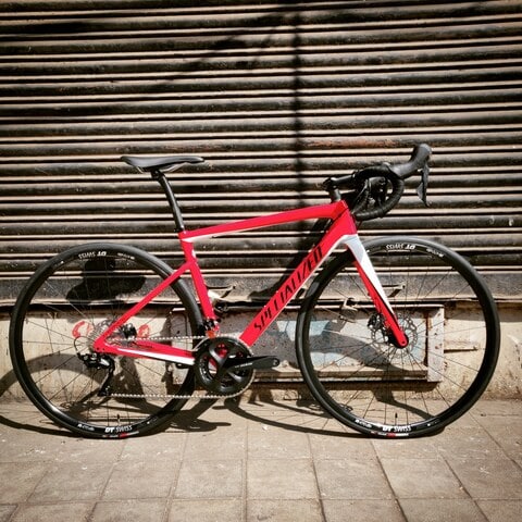 Tarmac men sl6 online sport disc