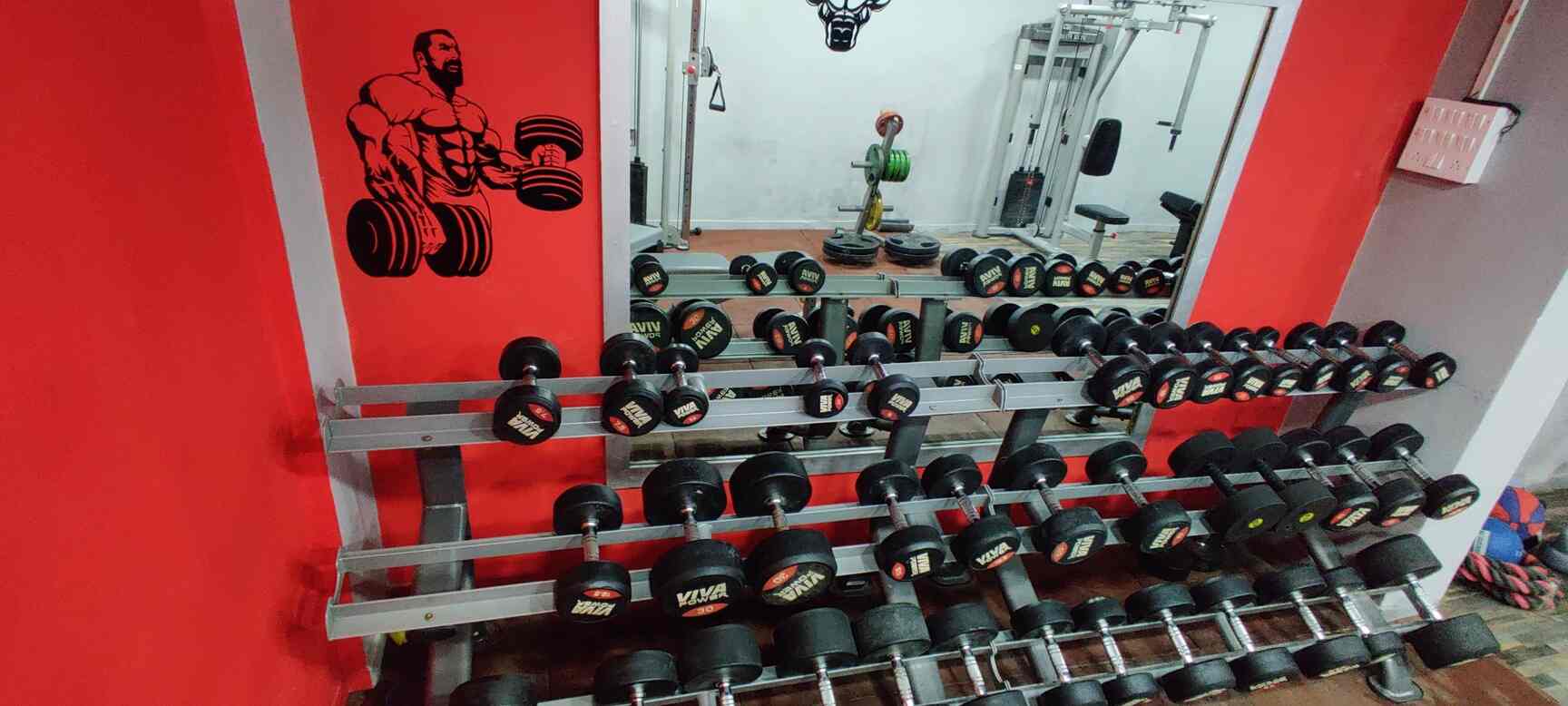Comet Fitness in Vile Parle West,Mumbai Best Gyms in Mumbai Justdial