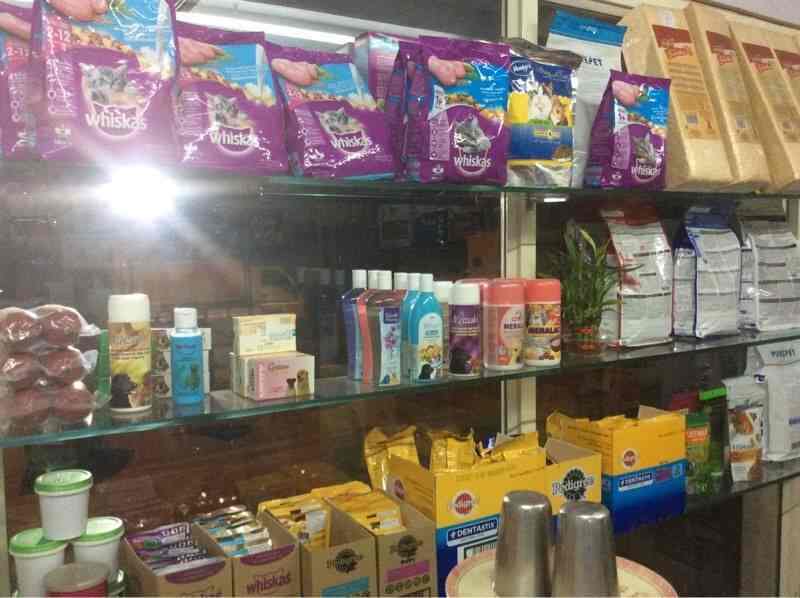 Happy Pet Shop in Mulund East,Mumbai Best Fish Food Retailers in