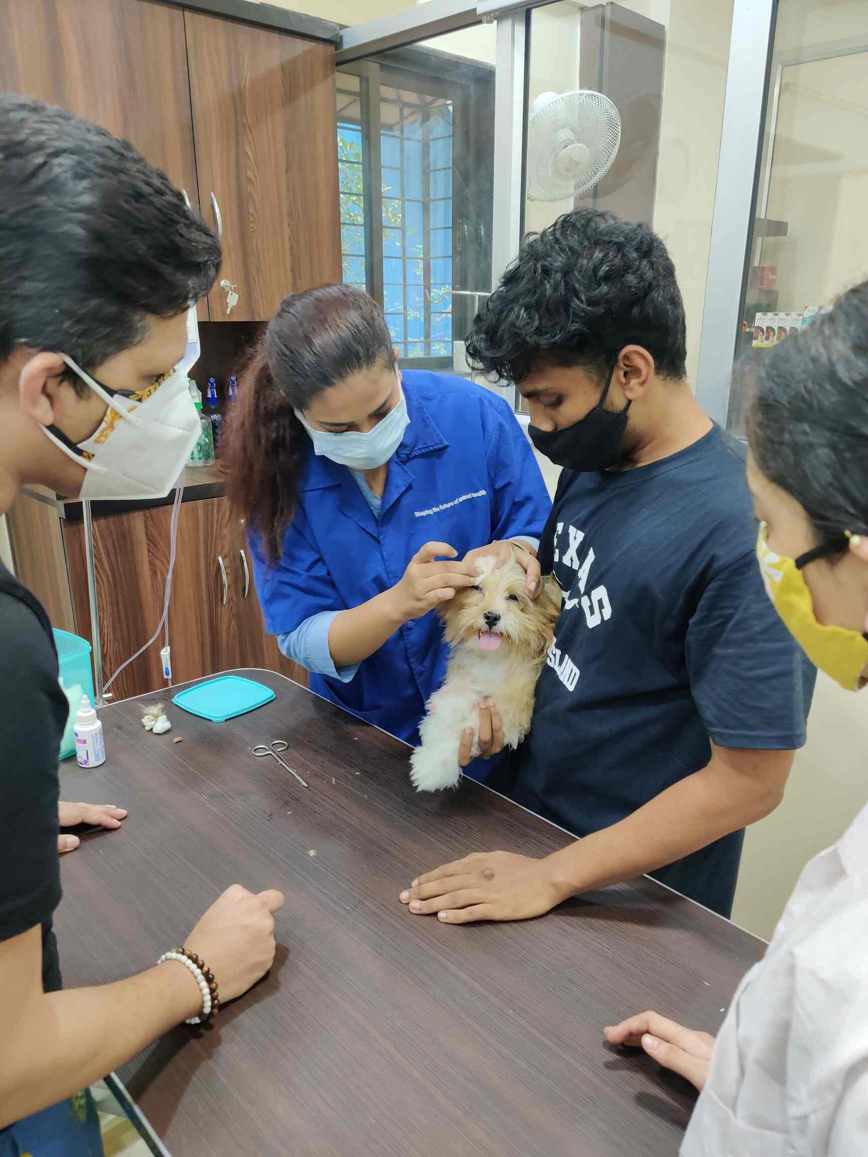 Top Pet Boarding Services in Goregaon West, Mumbai near me Justdial