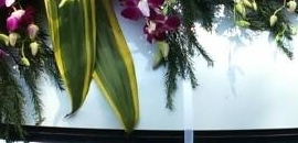 Arohi Florist in MIDC Marol Andheri East, Mumbai