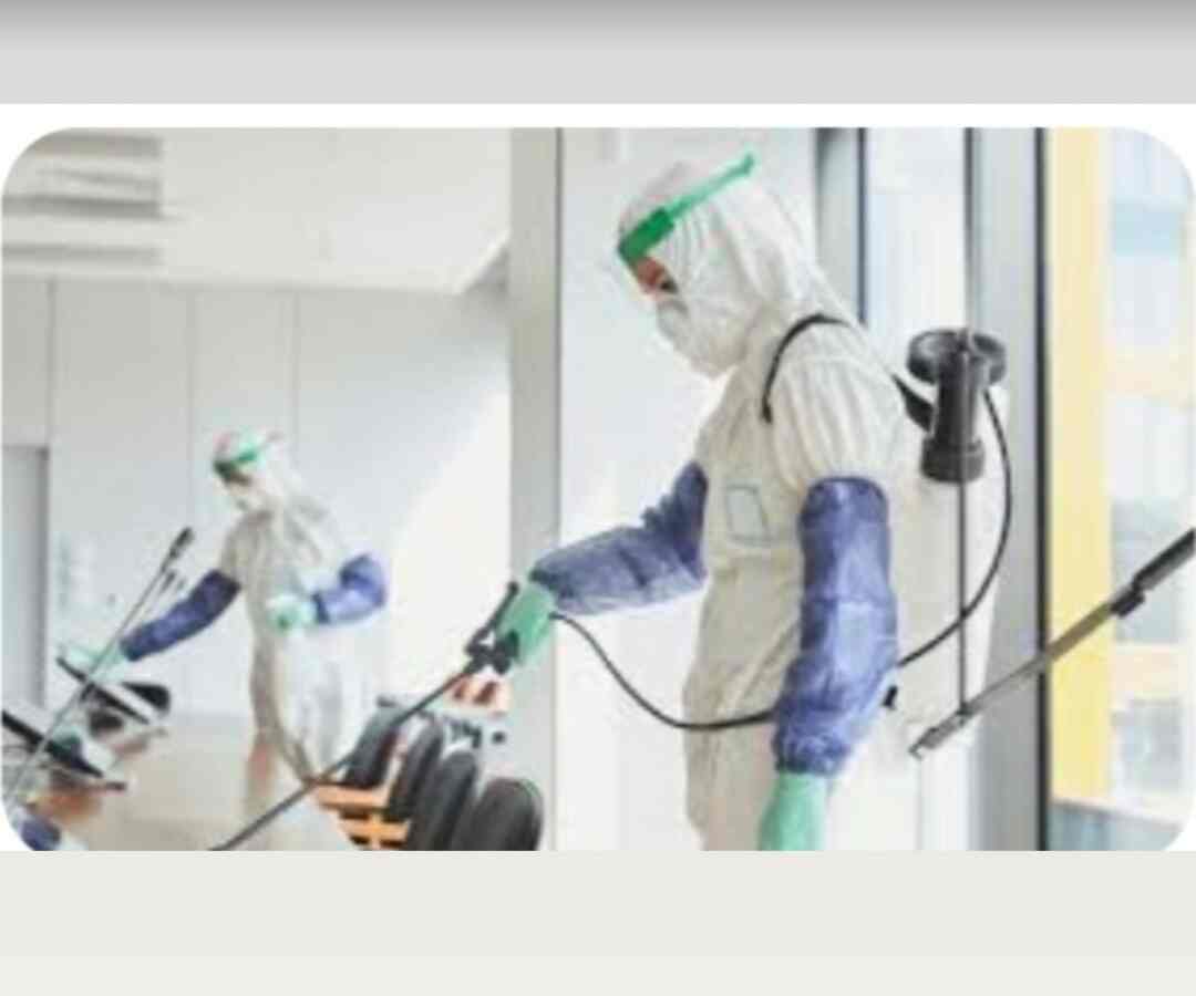 Virag Pest Control Pvt Ltd in Kalyan East,Mumbai Best Pest Control