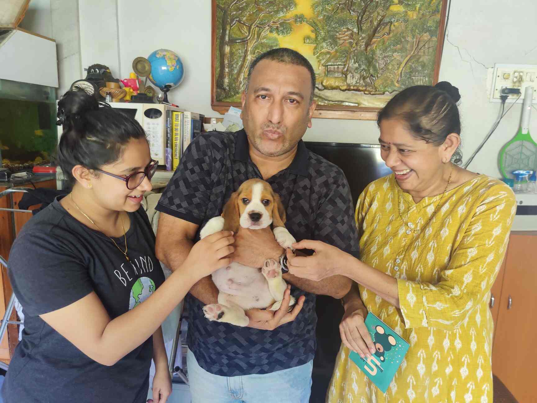 Top Pet Shops in Mumbai Best Pet Store near me Justdial