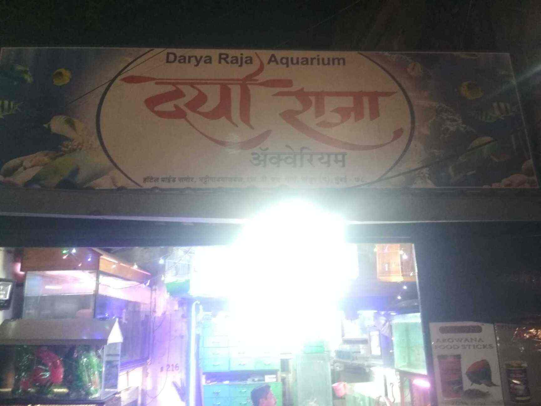 Top Tortoise Food Dealers In Dombivli East Thane Justdial