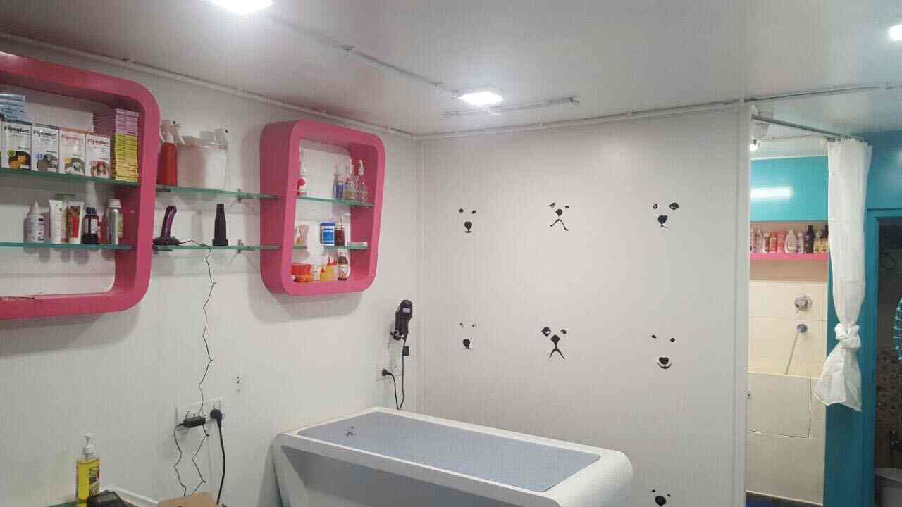 The White Collar in Khar West,Mumbai Best Pet Parlours in Mumbai Justdial