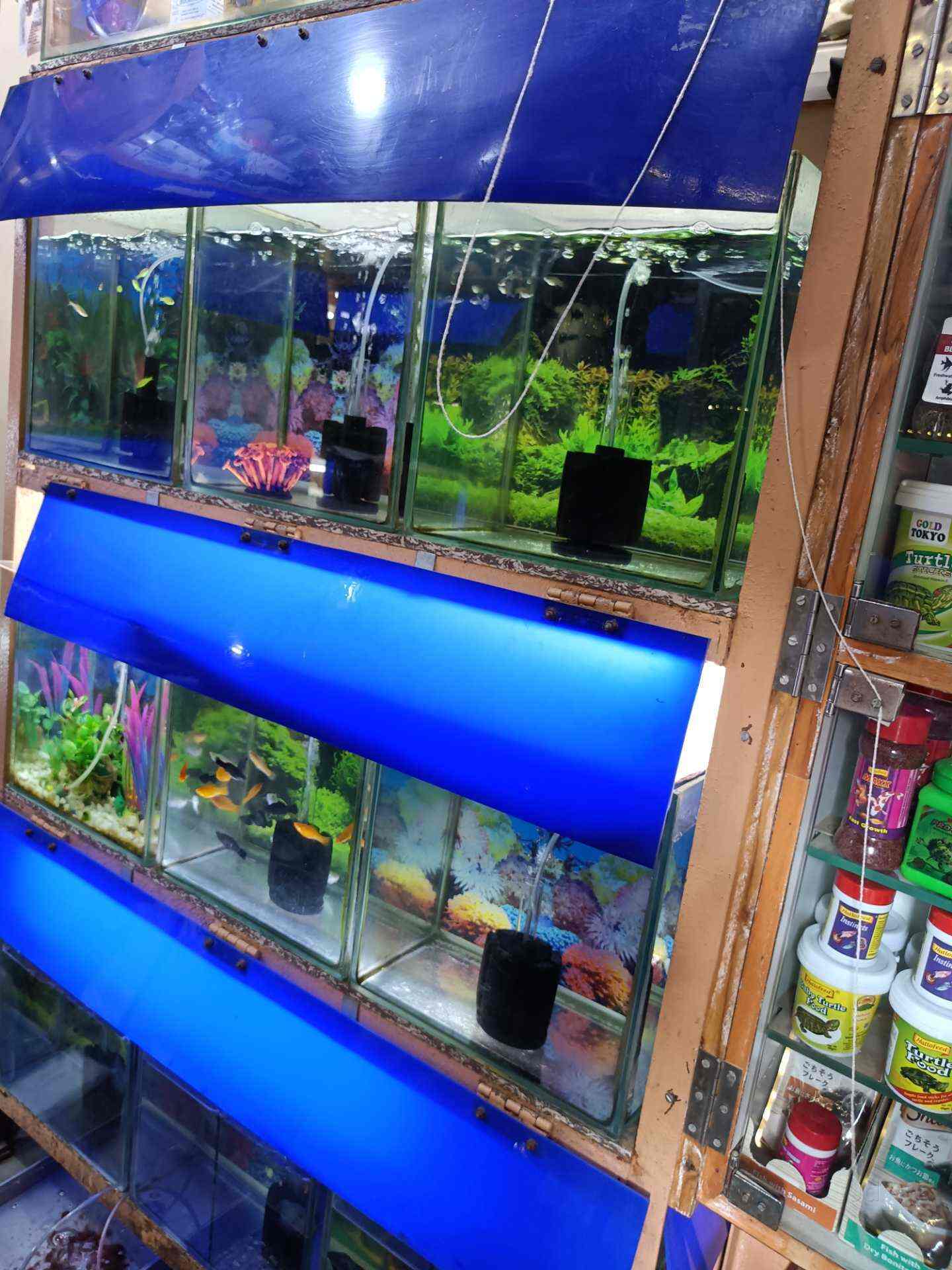 Yeoman Fish Fantaasy in Ghatkopar East,Mumbai Best Aquarium Accessory