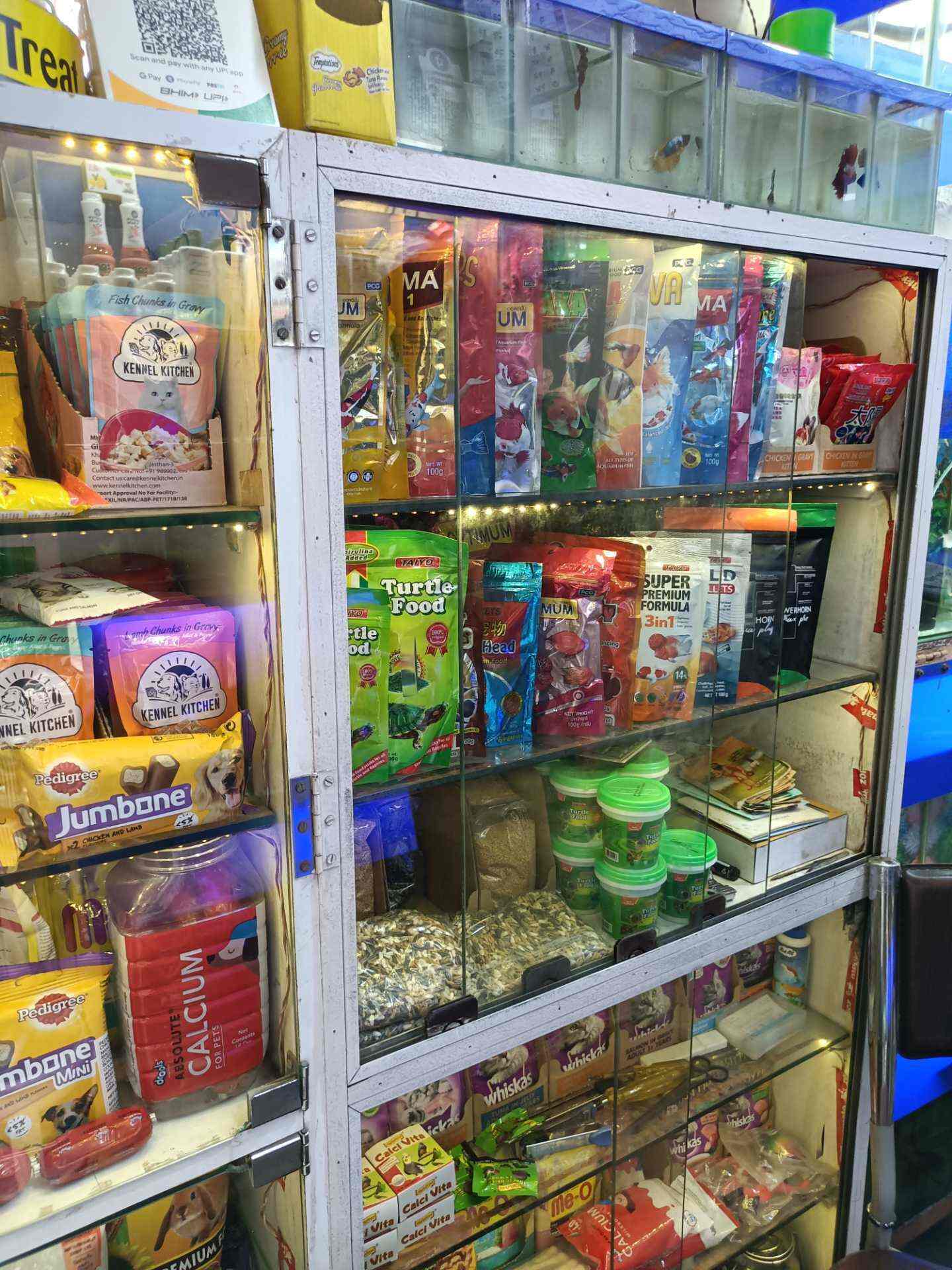 Yeoman Fish Fantaasy in Ghatkopar East,Mumbai Best Aquarium Accessory