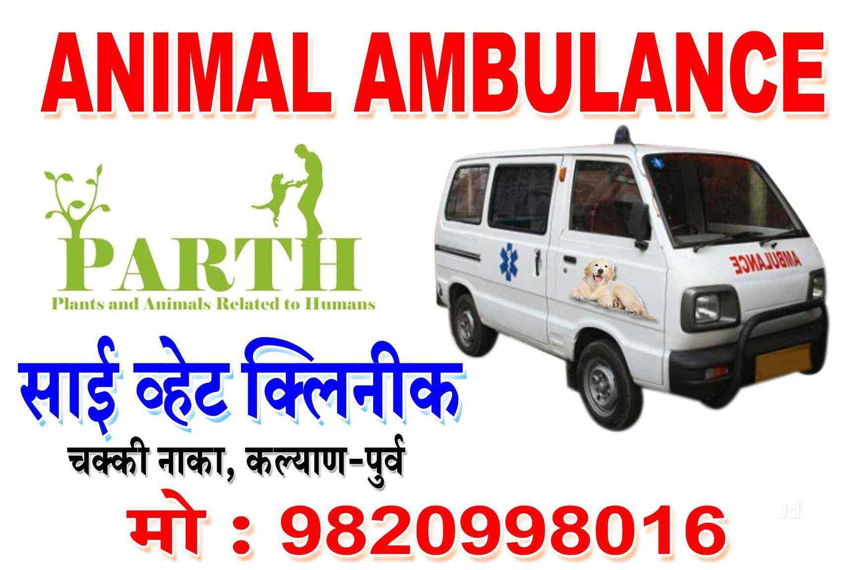 Top Veterinary Hospitals in Mumbai Best Veterinary Doctors near me