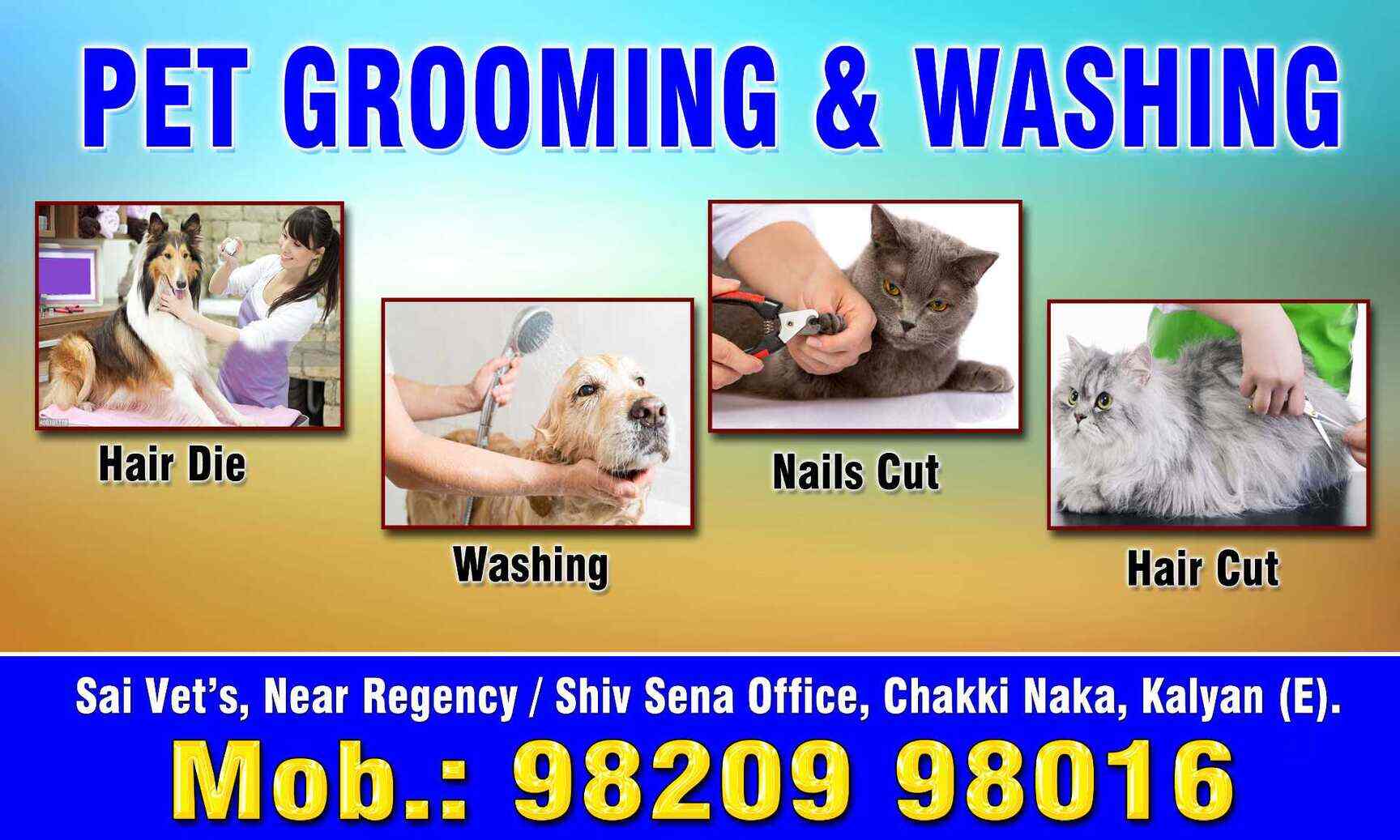 Top Veterinary Hospitals in Mumbai Best Veterinary Doctors near me