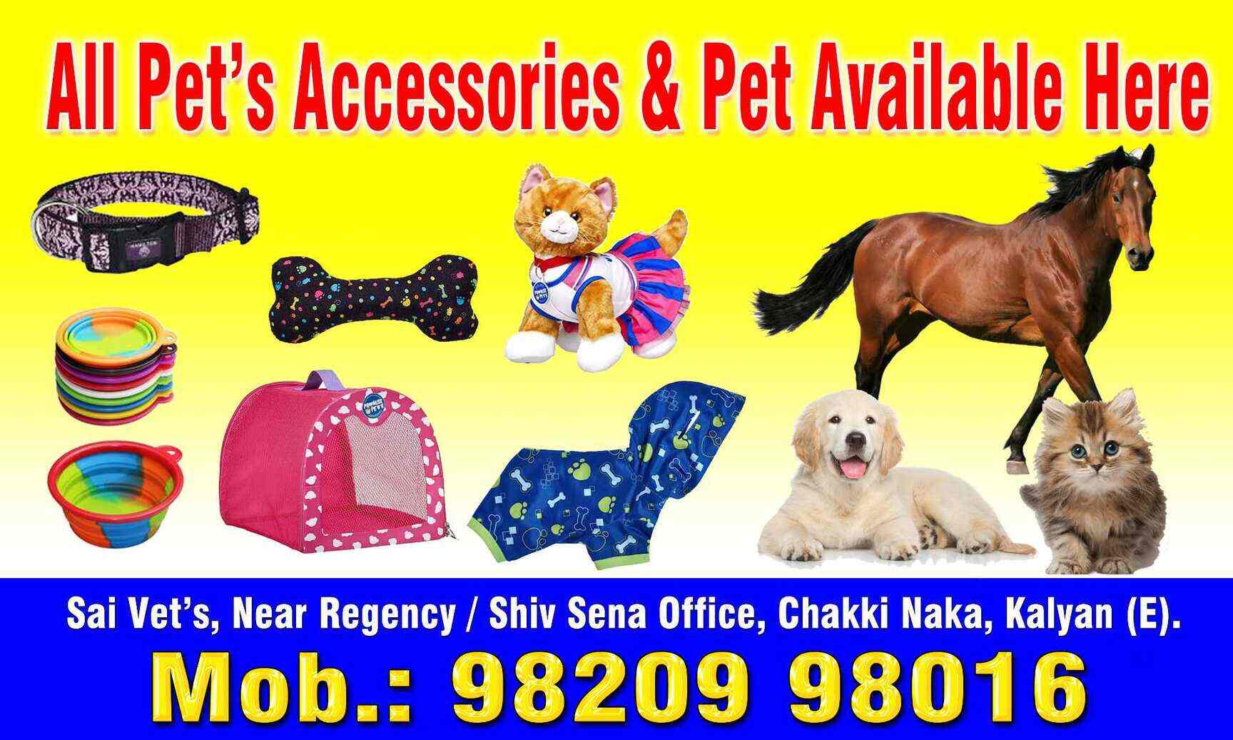Top Veterinary Hospitals in Mumbai Best Veterinary Doctors near me
