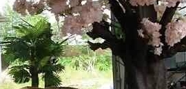 Urmi Novelty in Masjid Bunder, Mumbai