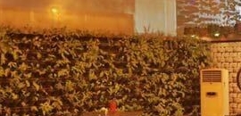 HOP in Andheri West, Mumbai