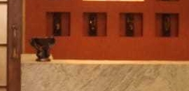 Yugen Spa & Salon in Charni Road, Mumbai