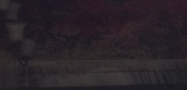 Lazeez Desi Tadka in Shivaji Nagar-Govandi West, Mumbai