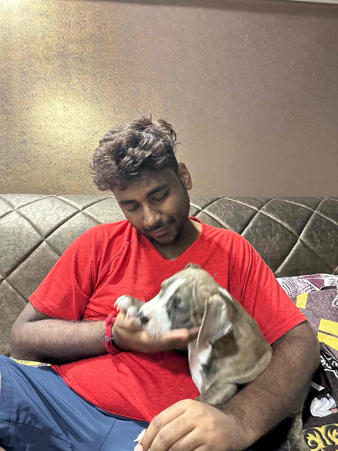 Top Pet Shops in Mumbai Best Pet Store near me Justdial