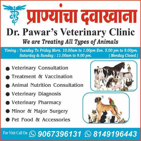 Top Veterinary Hospitals In Kalyan West Best Animal Hospitals Mumbai Justdial