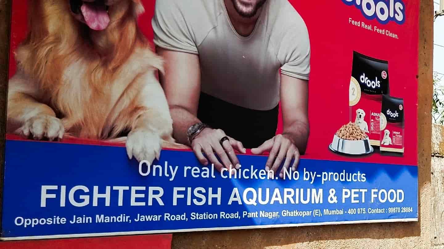 Fighter Aquarium And Pet Foods in Pant NagarGhatkopar East,Mumbai