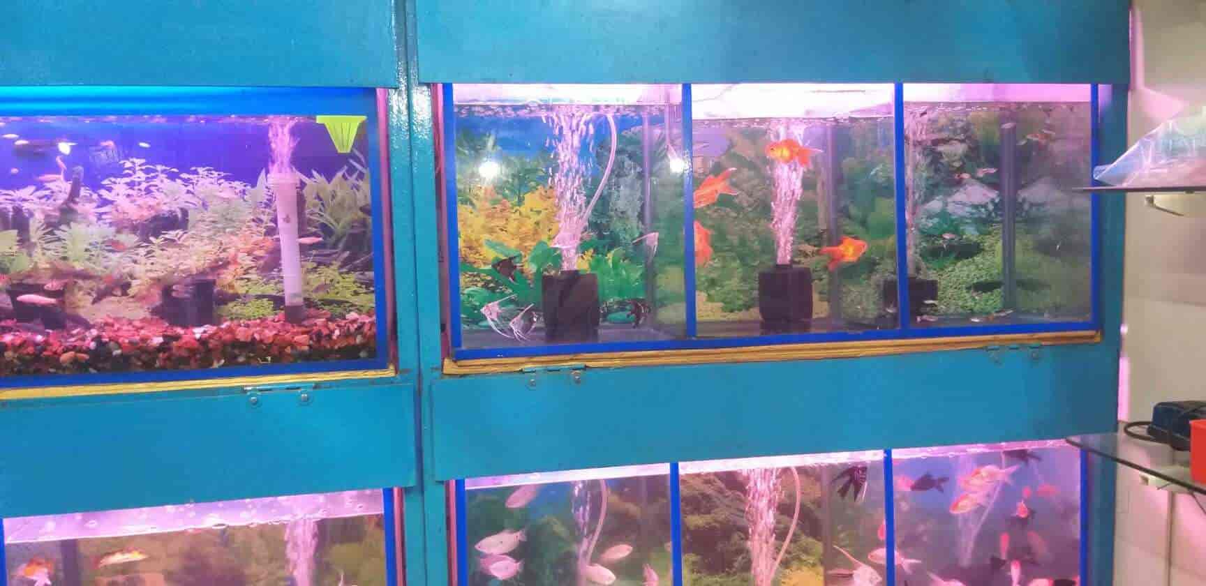 Fighter Aquarium And Pet Foods in Pant NagarGhatkopar East,Mumbai