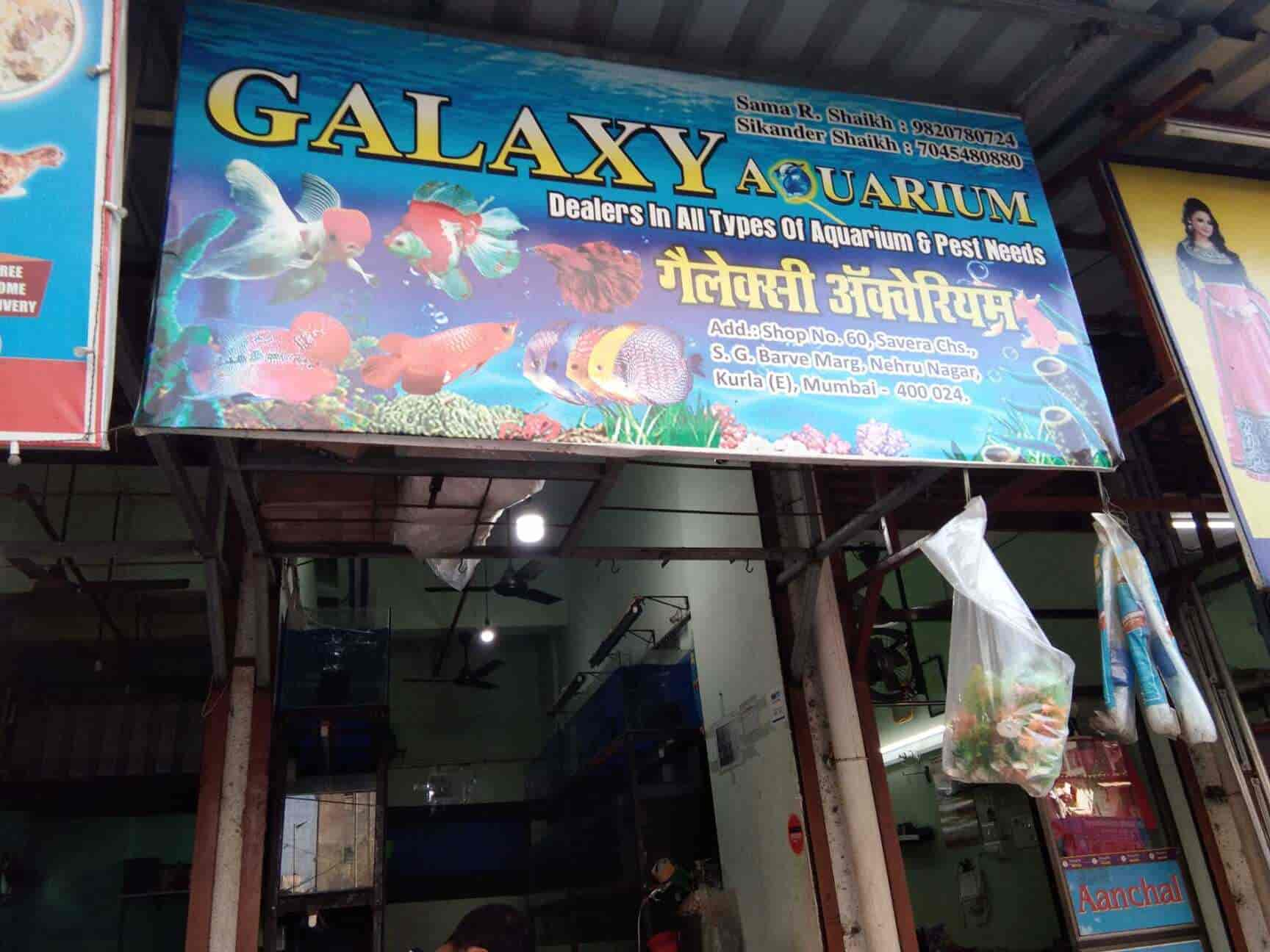 Aquarium shops outlet in kurla