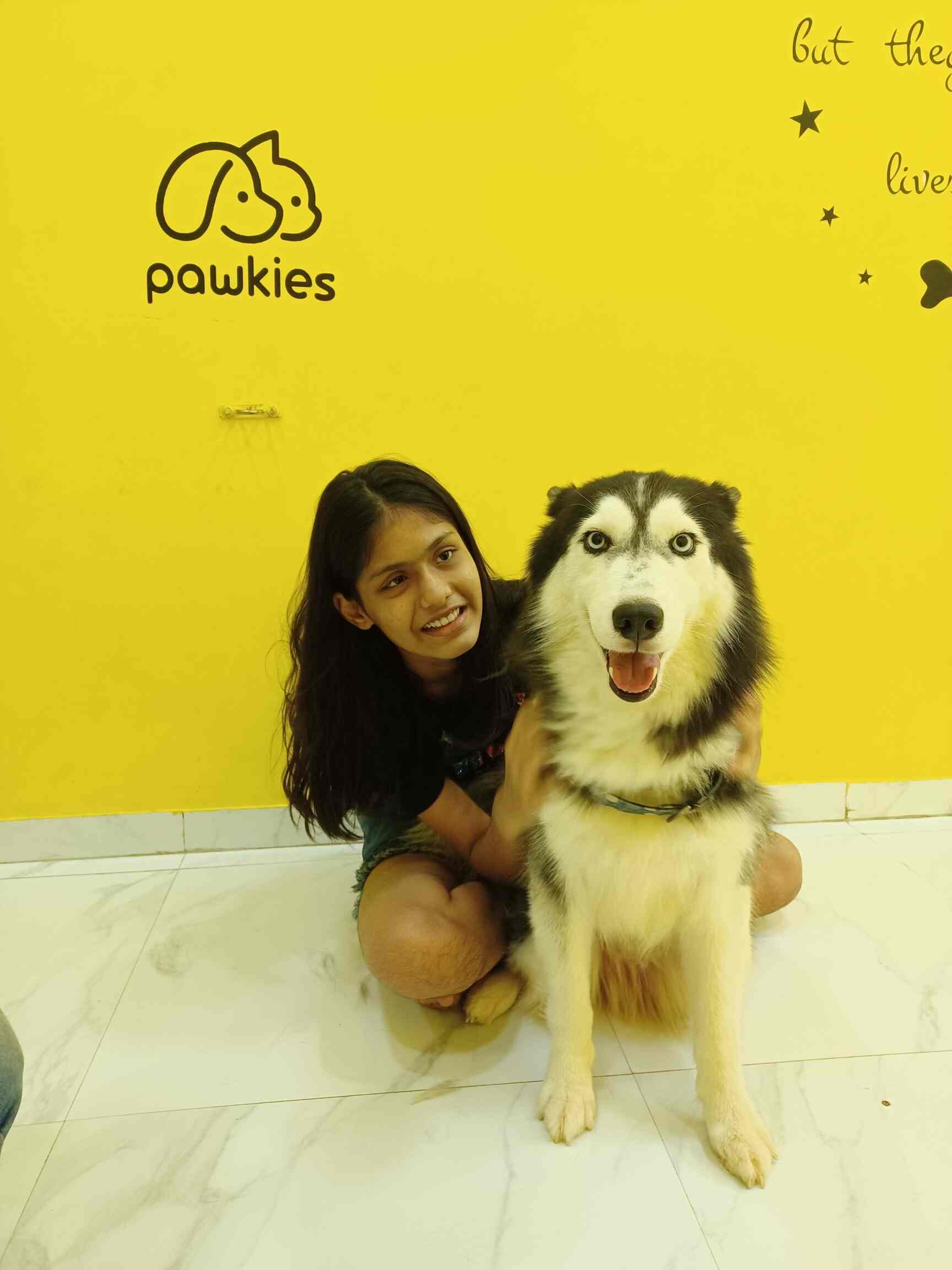 Top Dog Cafes in Sape, Mumbai near me Justdial