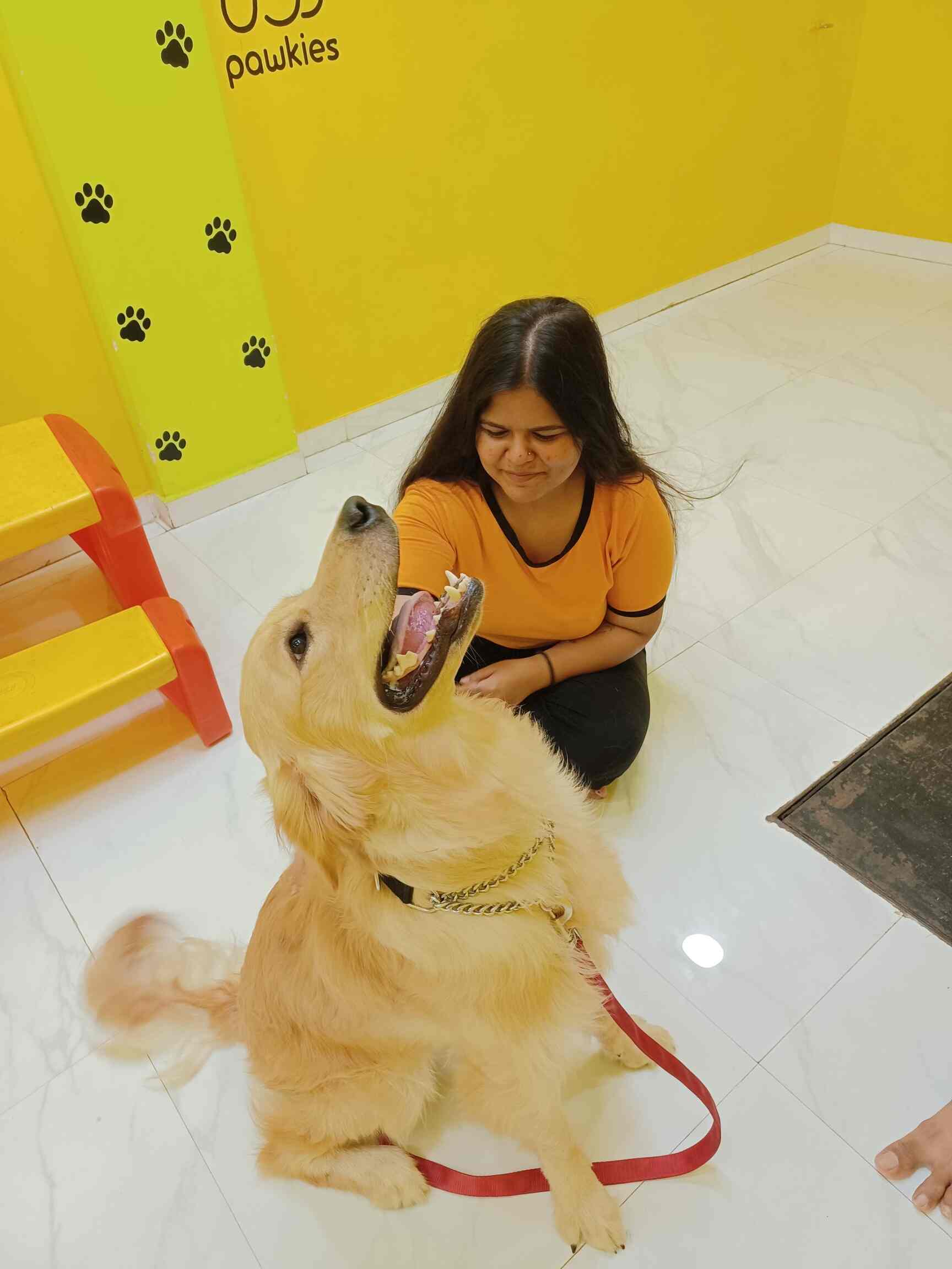 Top Dog Cafes in Sape, Mumbai near me Justdial
