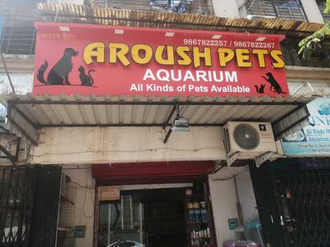 Top Pet Shops in Thane Best Pet Store near me Justdial