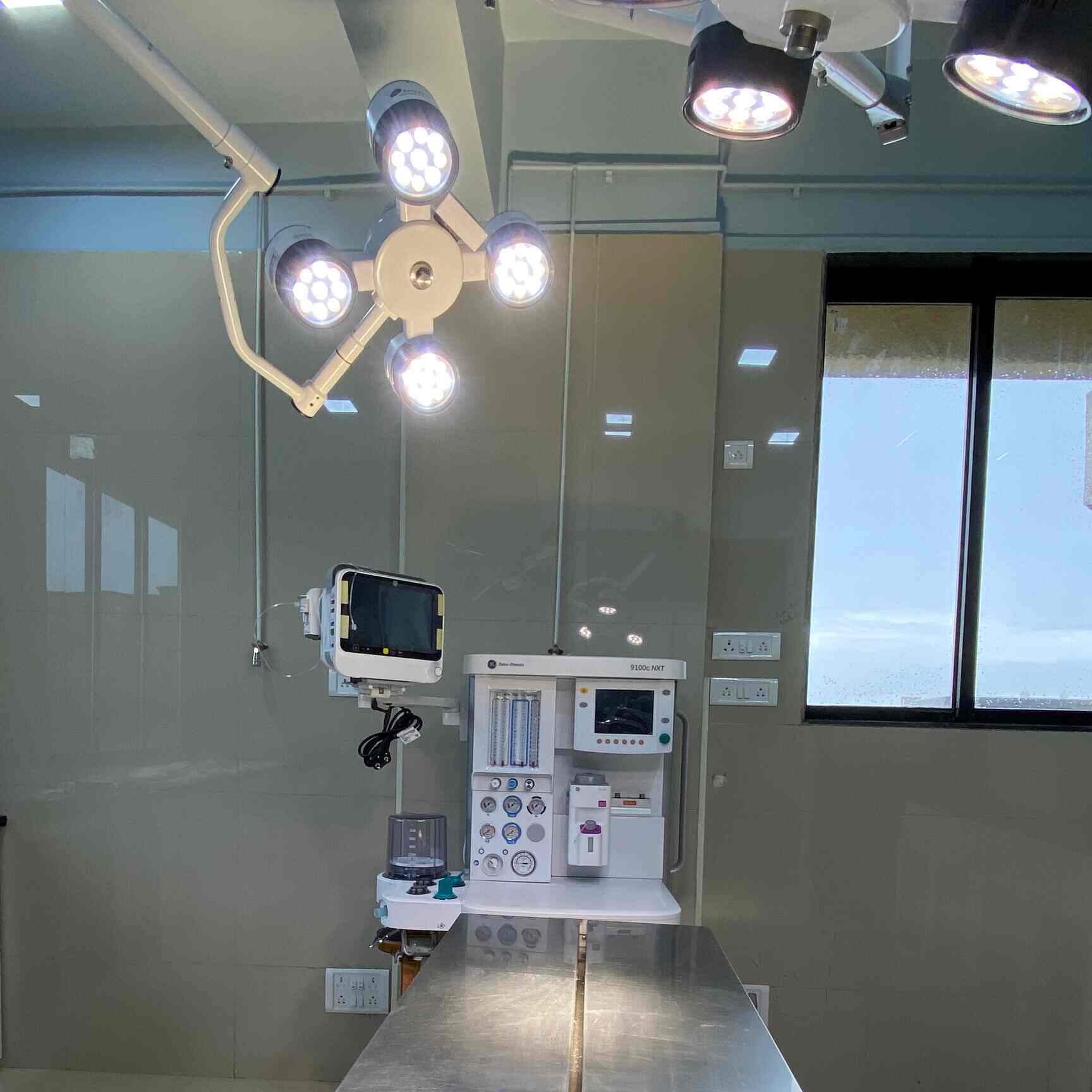 Top Pet Care Takers in Naigaon West Best Dog Care Takers Mumbai near me Justdial