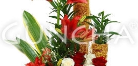 Guncha (Oberoi Mall) in Goregaon East, Mumbai